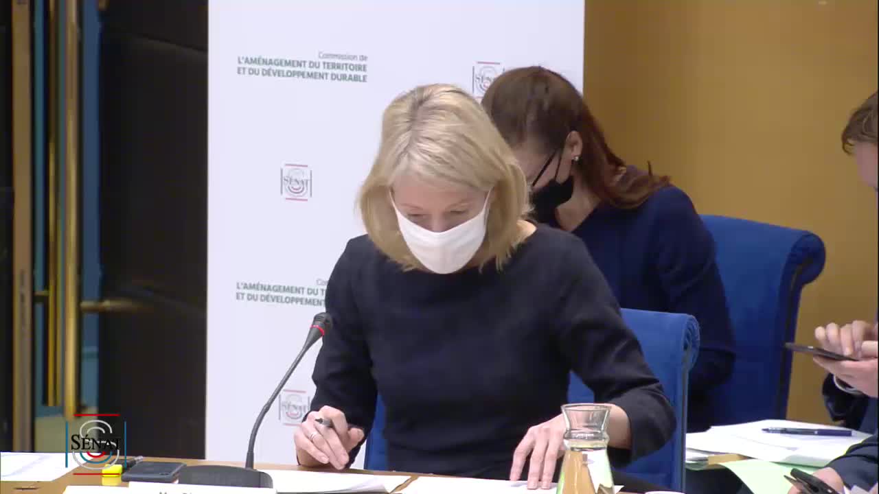 Audition de Mme Bérangère Abba, secrétaire d'État auprès de la ministre de la Transition écologique, chargée de la Biodiversité