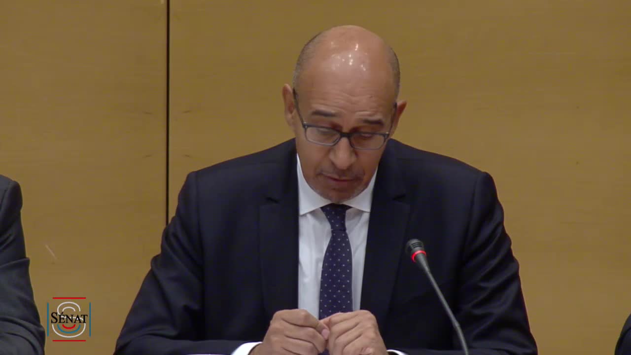 Audition de M. Harlem Désir, secrétaire d'Etat, sur les conclusions du Conseil européen des 20 et 21 octobre