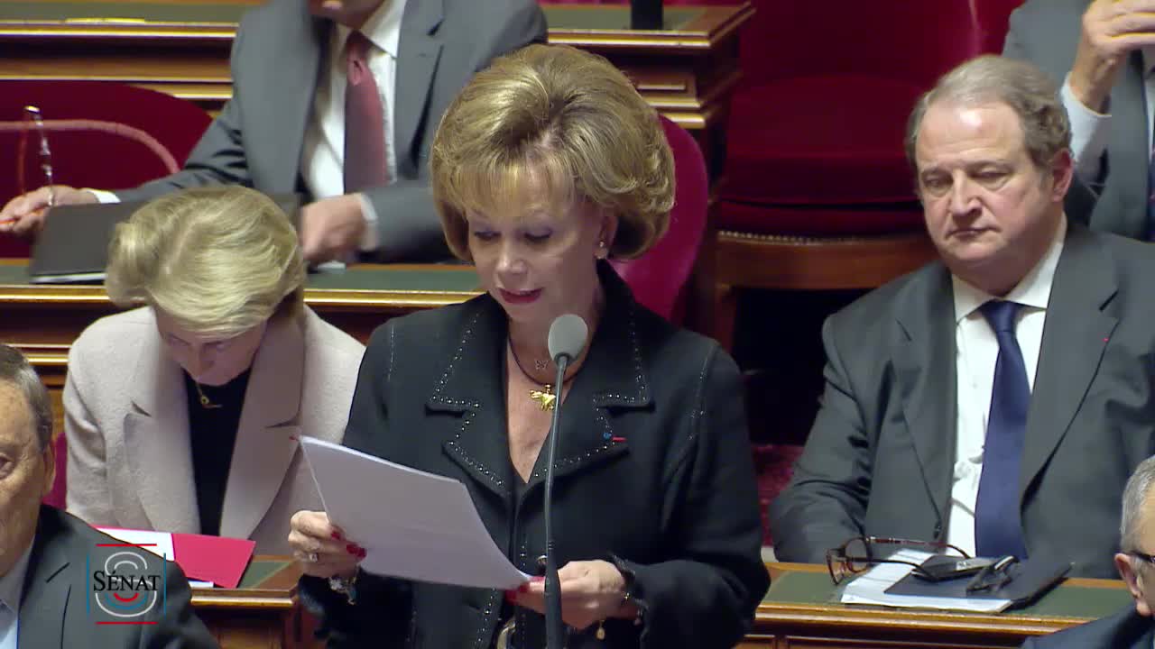 Séance publique du 22 novembre 2016 (après-midi)