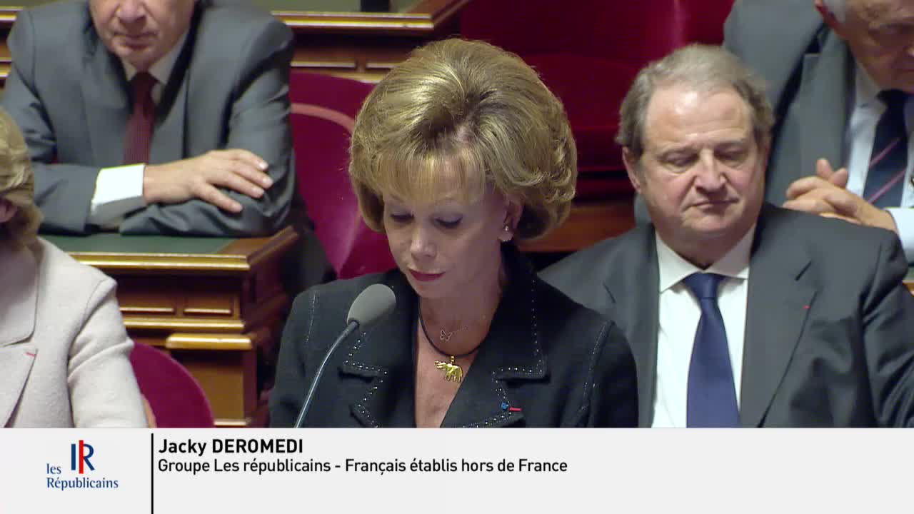Séance publique du 22 novembre 2016 (après-midi)