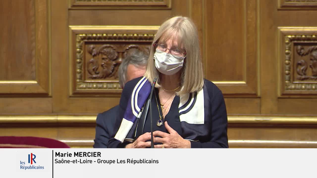 Séance publique du 19 octobre 2021 (matin)