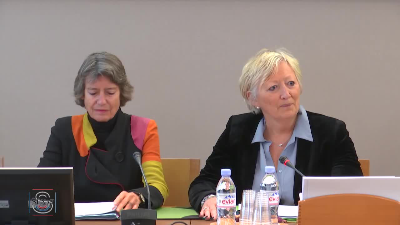COM 2017-2021 entre l'Etat et ARTE France - Audition de Mme Véronique Cayla