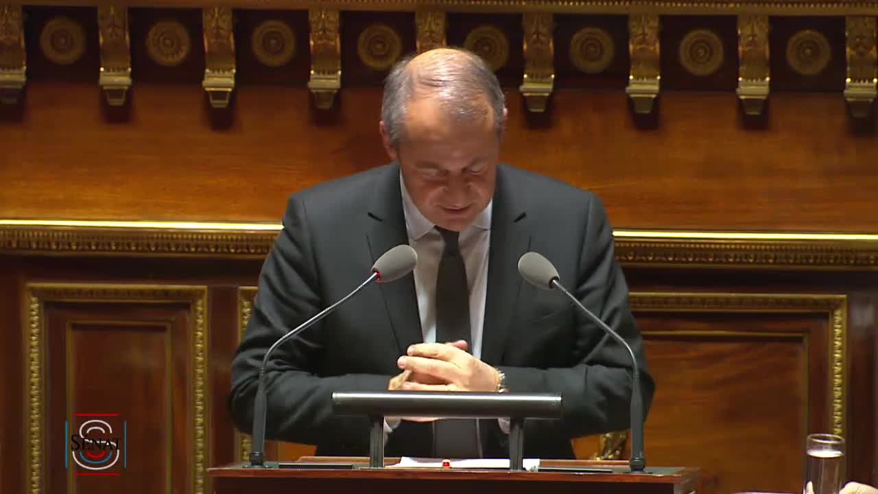 Séance publique du 29 novembre 2016 (après-midi)