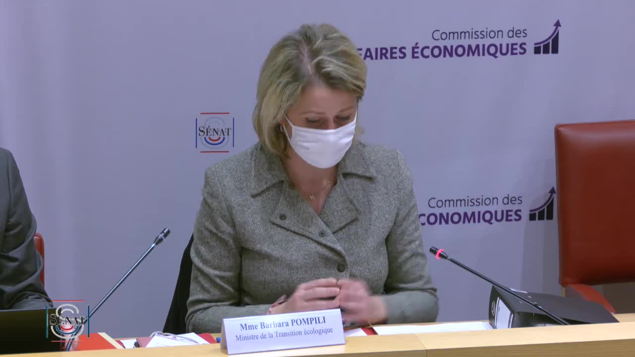 Audition de Mme Barbara Pompili, ministre de la Transition écologique
