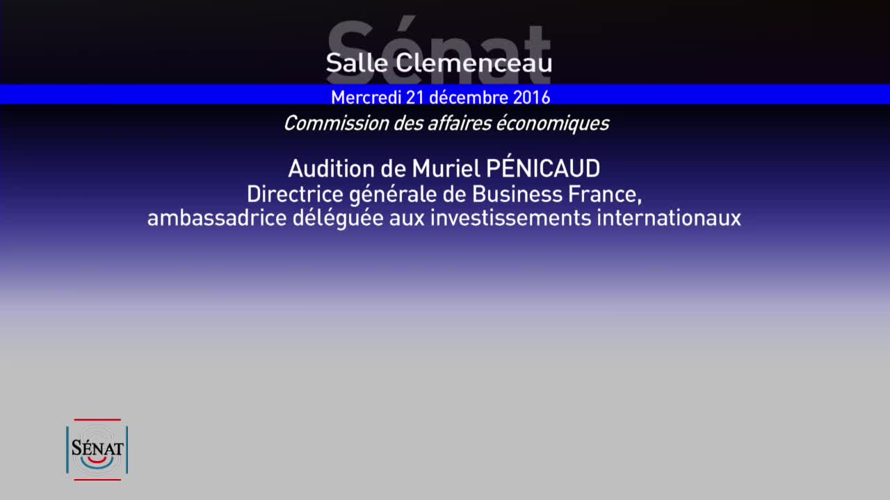 Audition de Mme Muriel Pénicaud