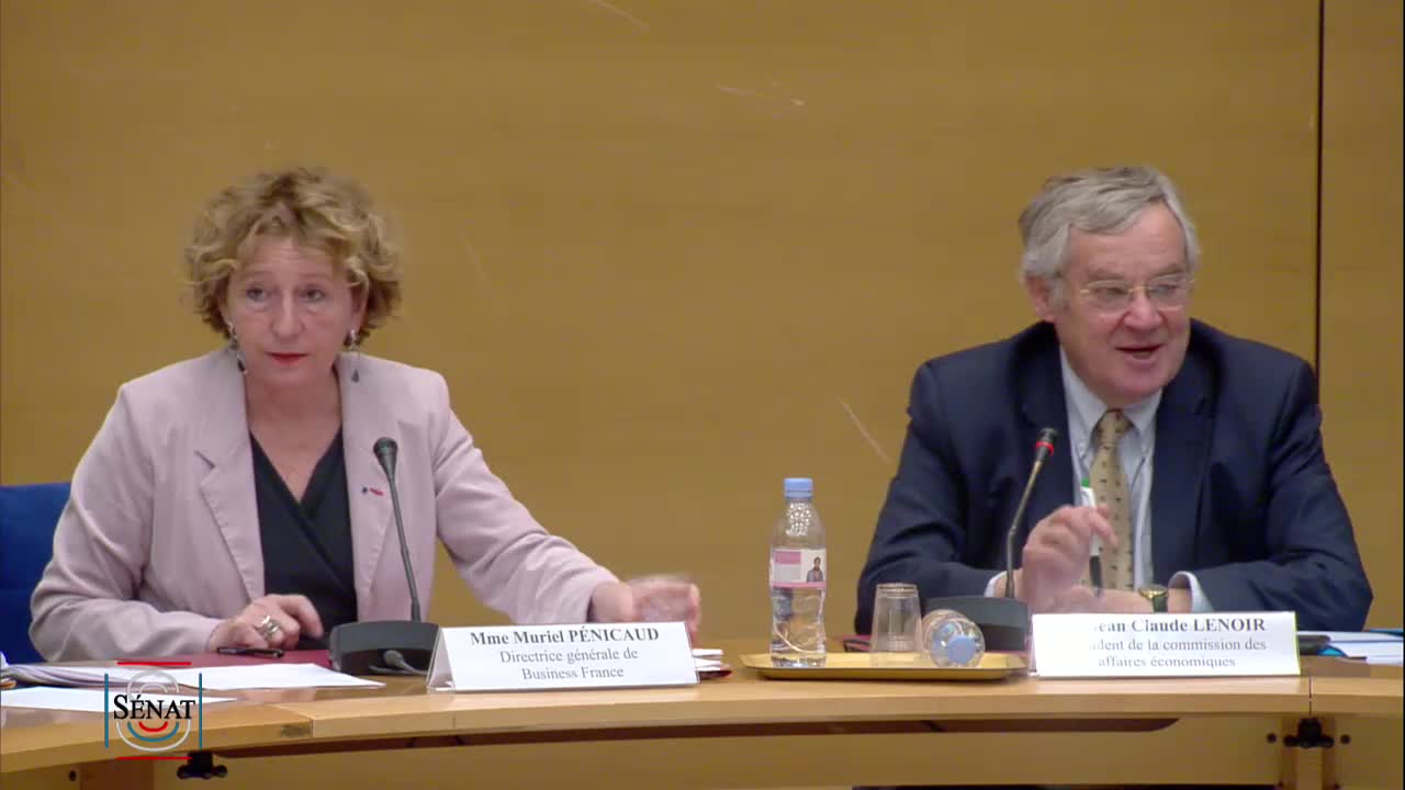 Audition de Mme Muriel Pénicaud