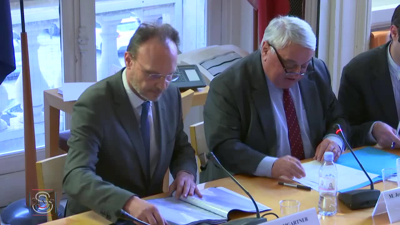 audition S.E M. Ramon de Miguel et M. Cyrille Baumgartner