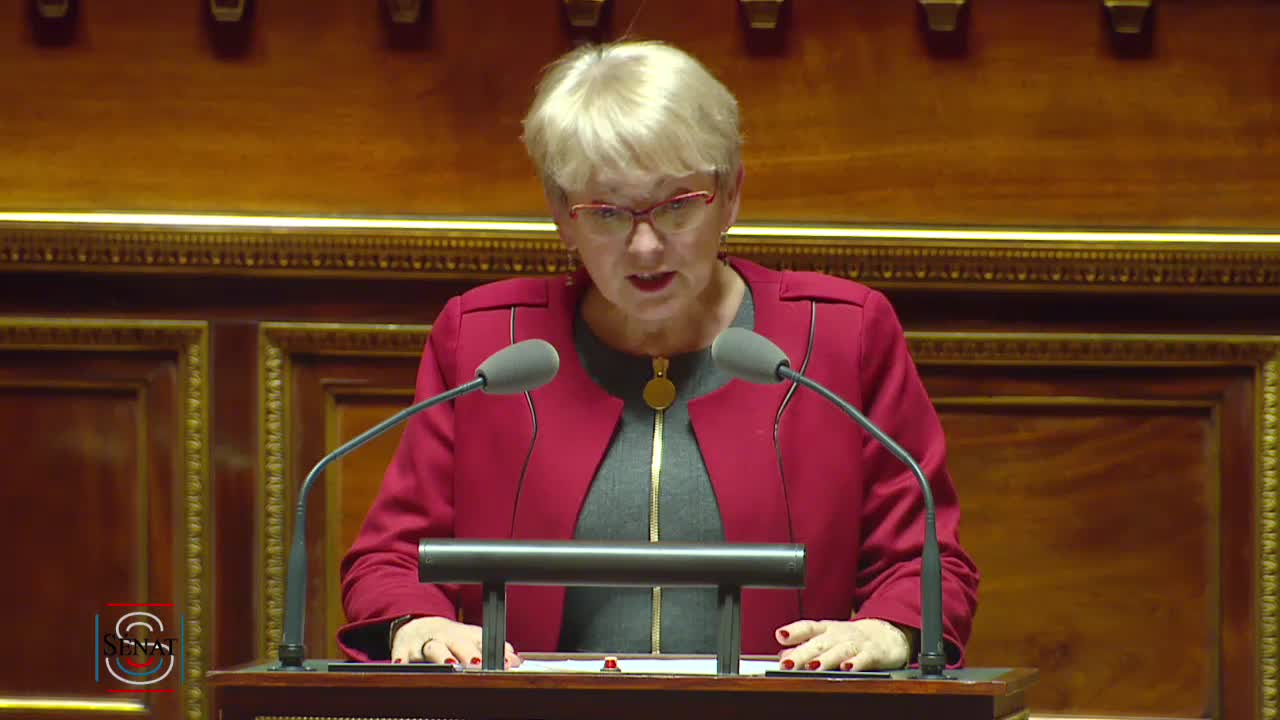 Séance publique du 11 janvier 2017 (soir)