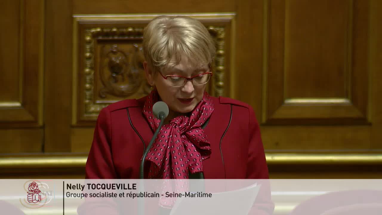 Séance publique du 24 janvier 2017 (matin)