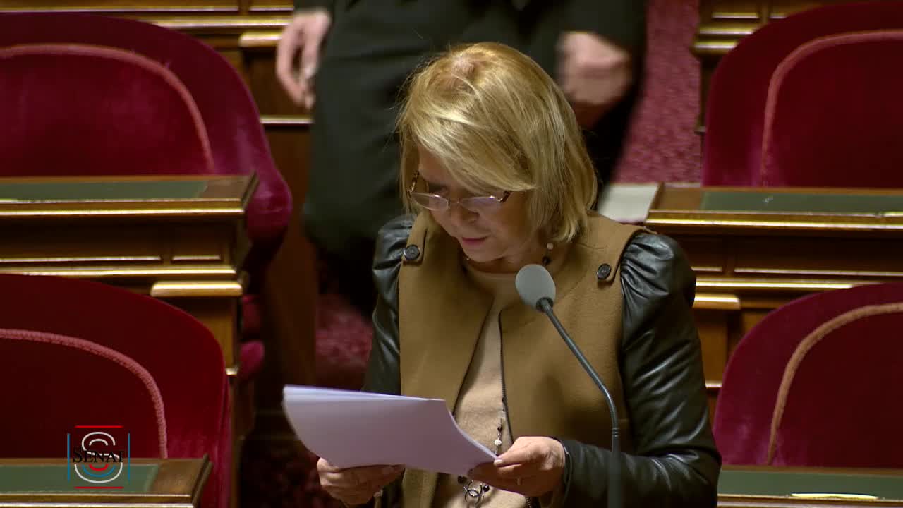Séance publique du 24 janvier 2017 (matin)