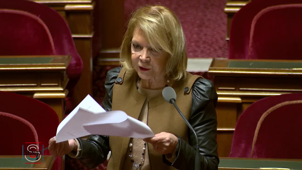 Séance publique du 24 janvier 2017 (matin)