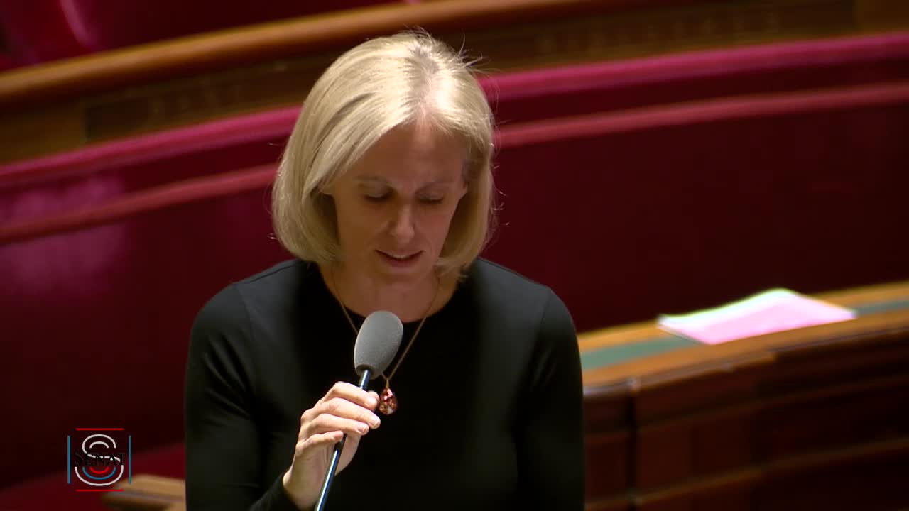 Séance publique du 24 janvier 2017 (matin)