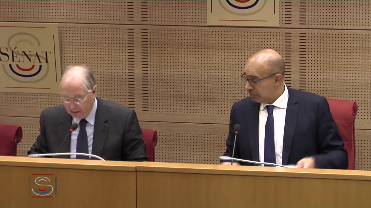 Audition de M. Harlem Désir, secrétaire d'État aux affaires européennes, sur le suivi des résolutions européennes
