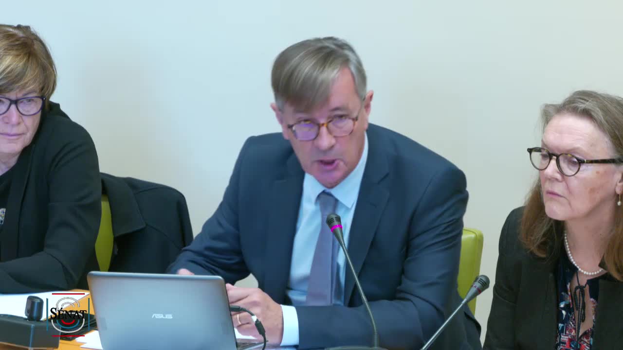 Audition de Mme Sylvie LEMMET, ambassadrice déléguée à l'environnement