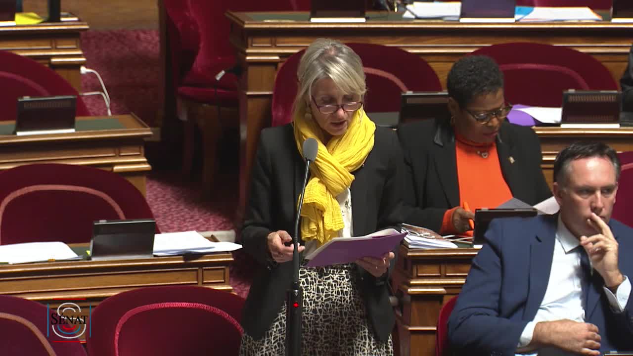 Séance publique du 18 novembre 2022 (après-midi)