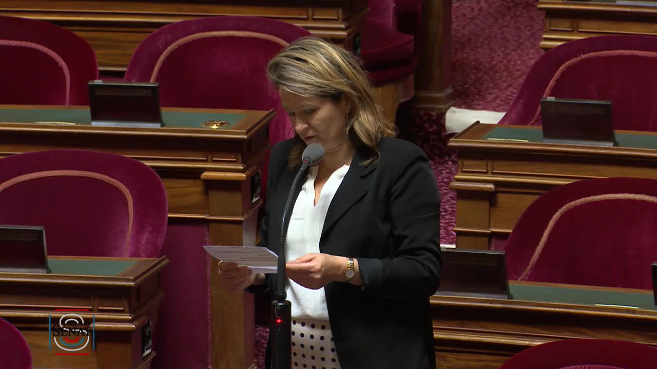 Séance publique du 29 novembre 2022 (matin)