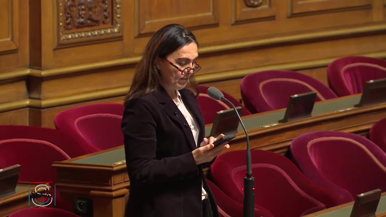 Séance publique du 29 novembre 2022 (matin)