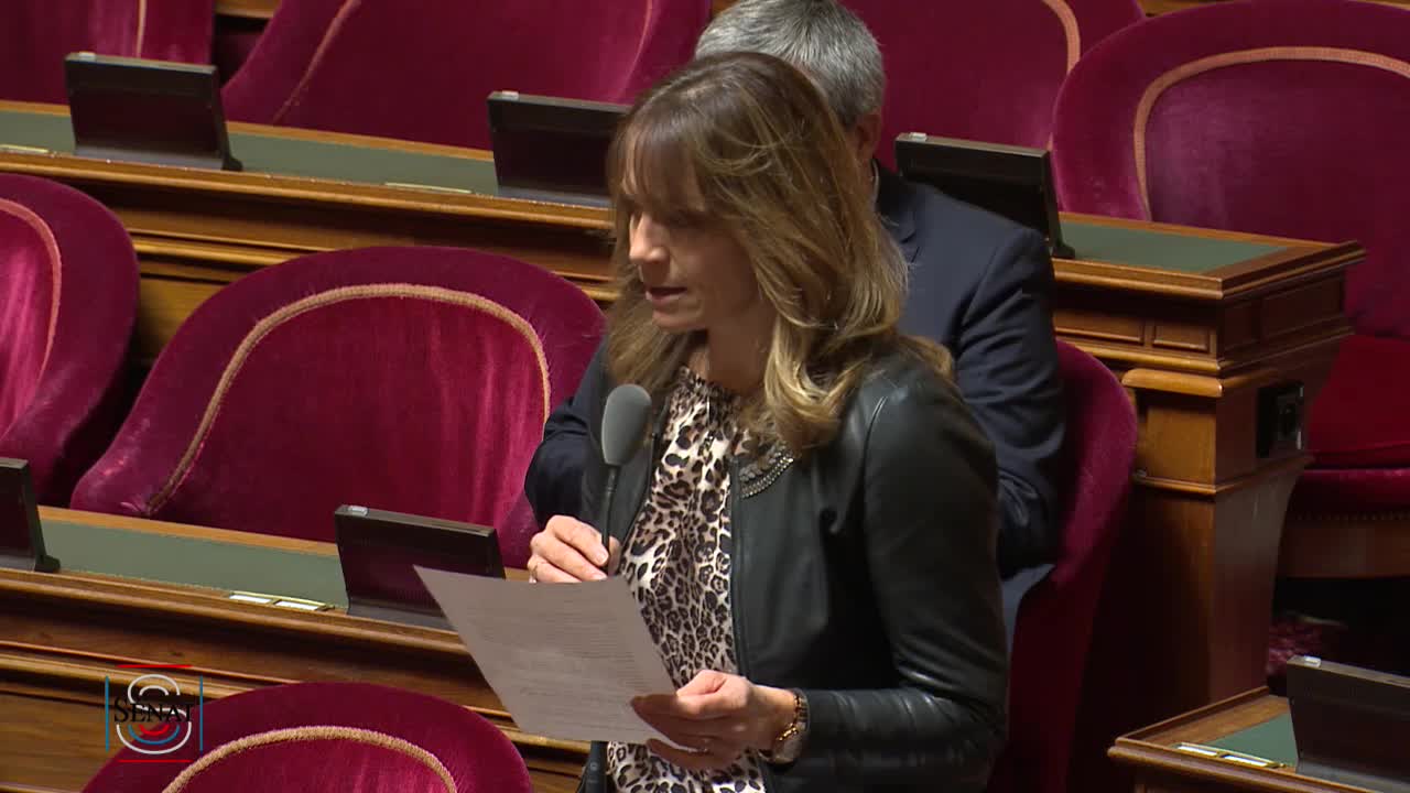 Séance publique du 29 novembre 2022 (matin)