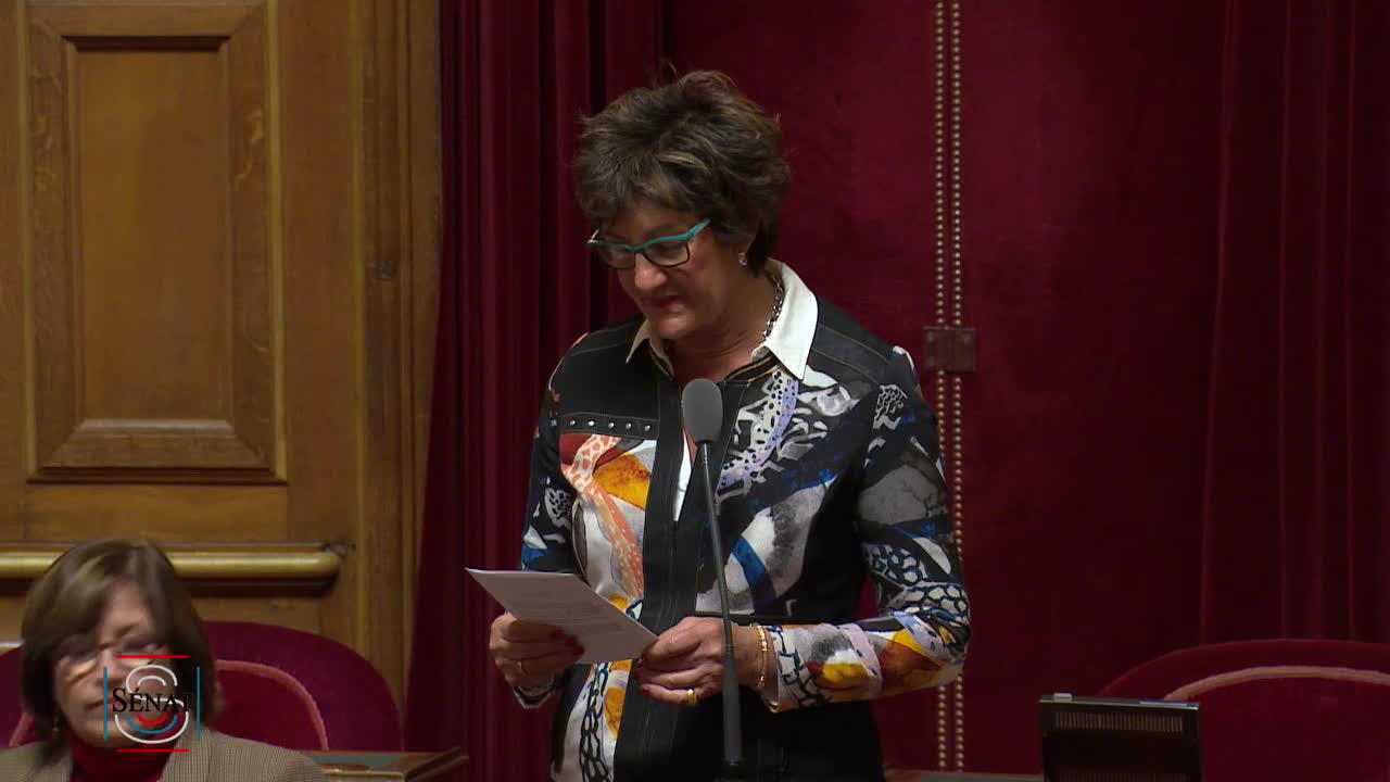 Séance publique du 29 novembre 2022 (matin)