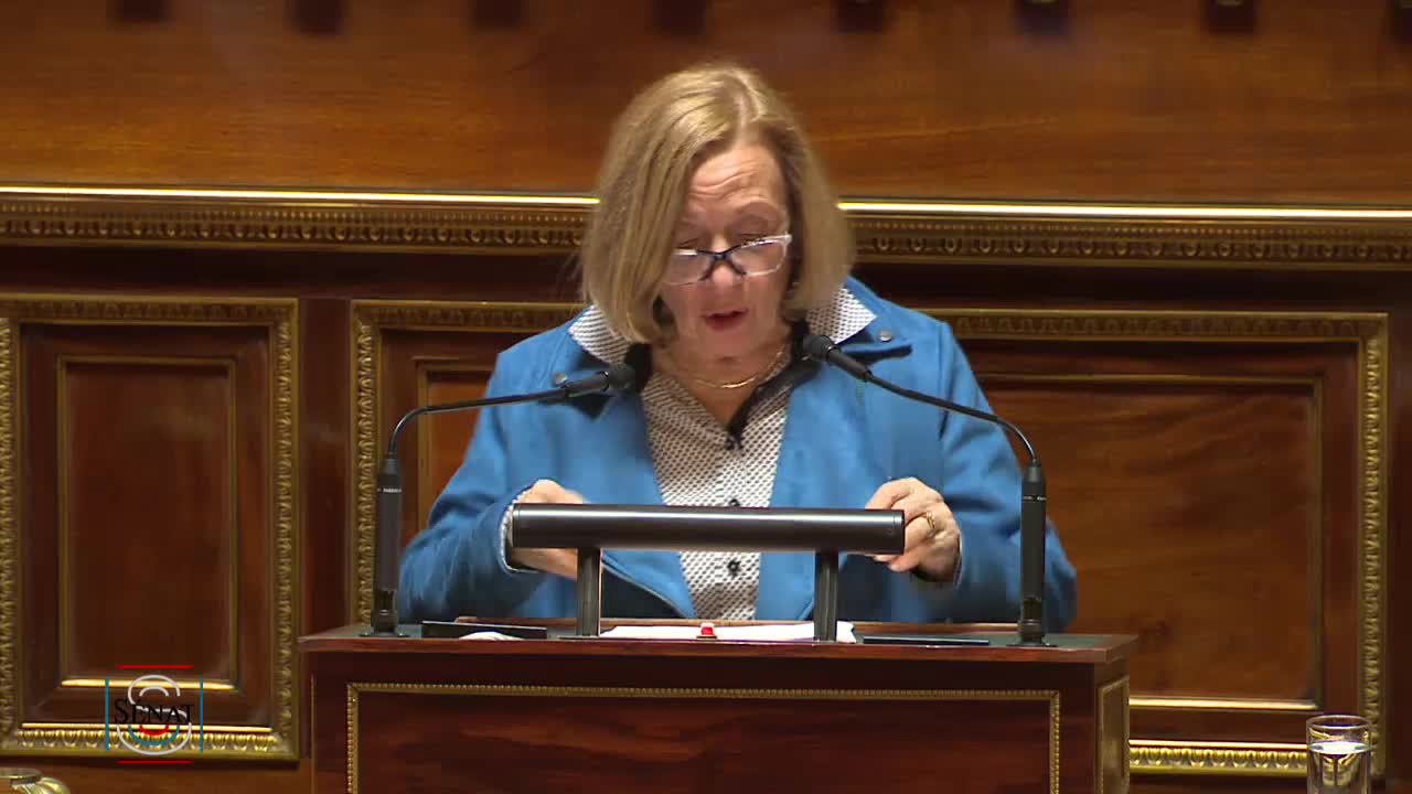 Séance publique du 29 novembre 2022 (après-midi)