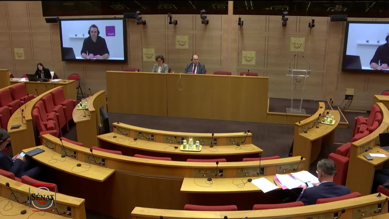 Protection des données personnelles - Audition de Max Schrems