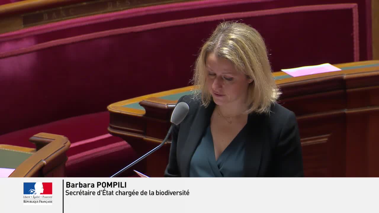 Séance publique du 21 février 2017 (matin)