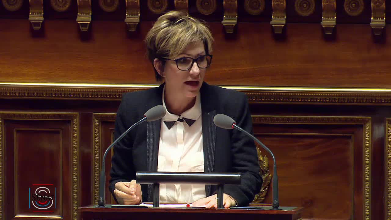 Séance publique du 21 février 2017 (après-midi)