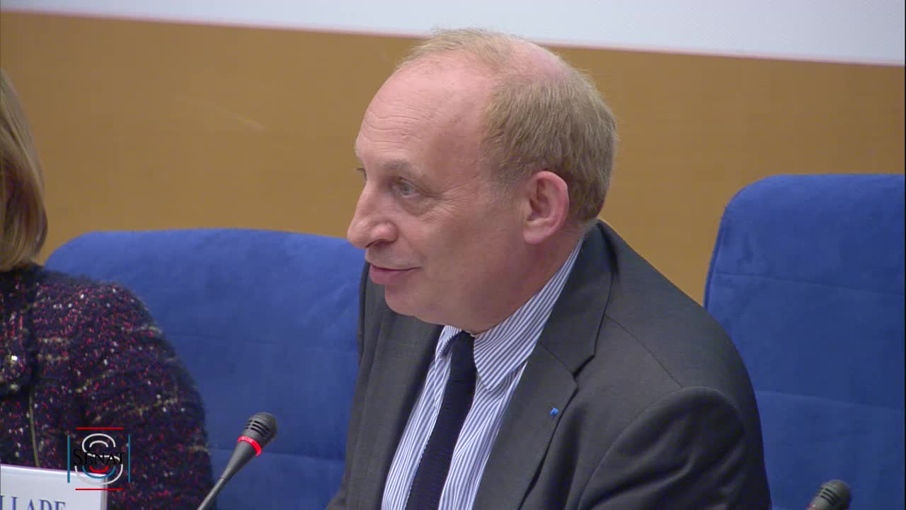 Colloque organisé par la Délégation sénatoriale à l'outre-mer. "Quelles mutations et perspectives pour les économies des territoires français de l'océan indien?". SUITE