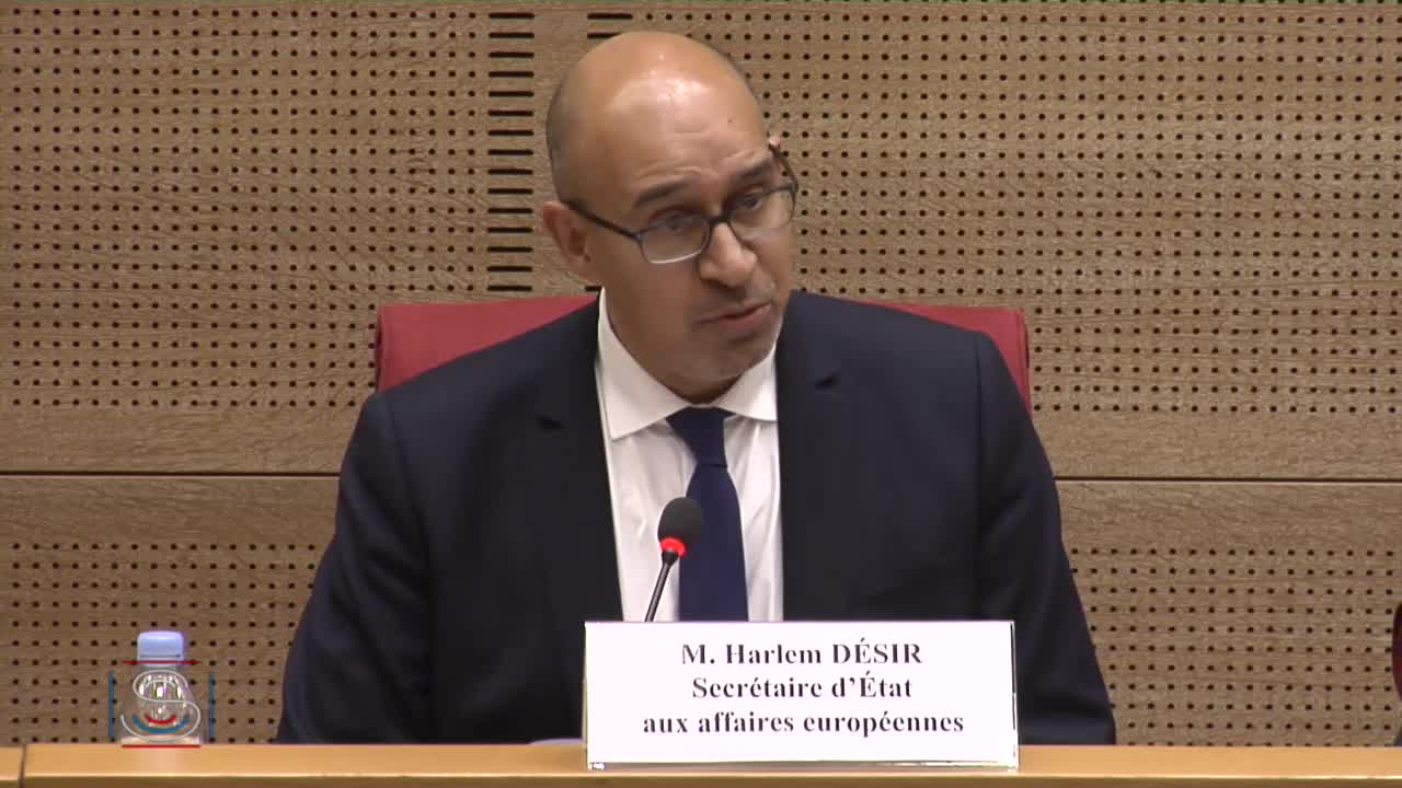 Audition de M. Harlem Désir préalable au Conseil européen des 9 et 10 mars