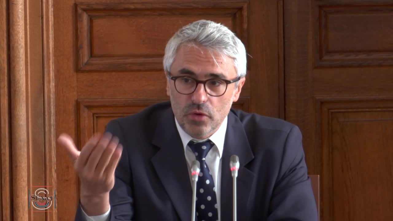 Audition de M. Pascal Saint-Amans sur la mise en oeuvre des mesures relatives aux conventions fiscales