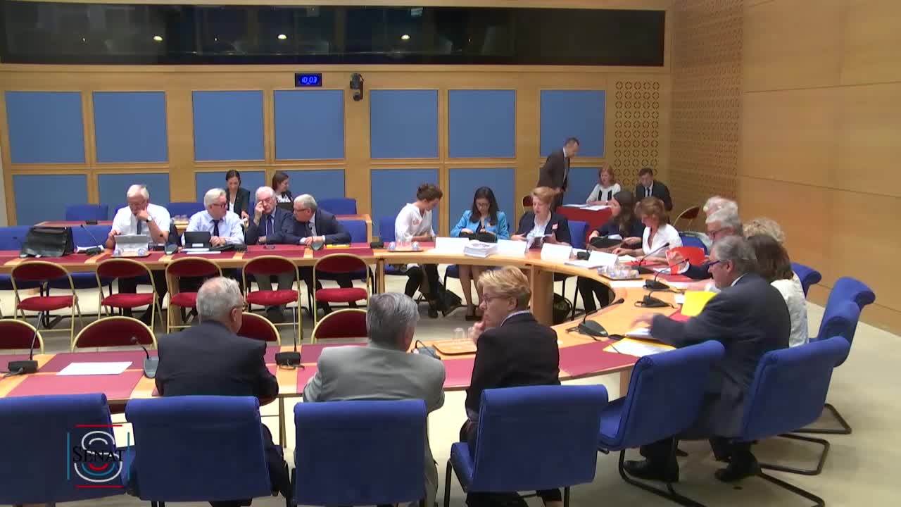 Objectifs de développement durable - Table ronde