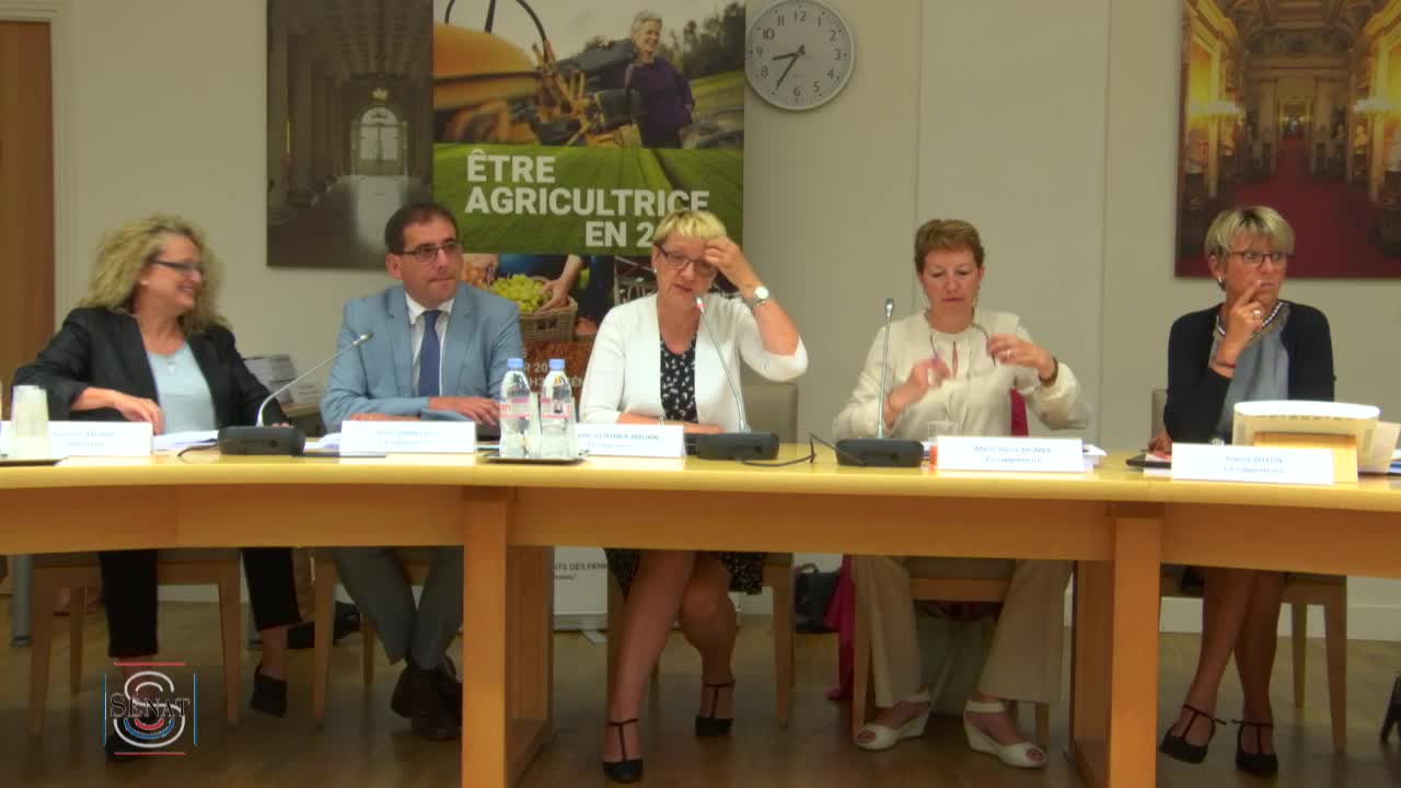 Conférence de presse délégation aux droits des femmes