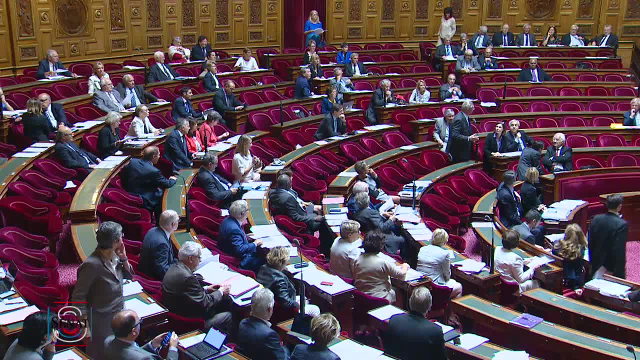 Séance publique du 12 juillet 2017 (après-midi)