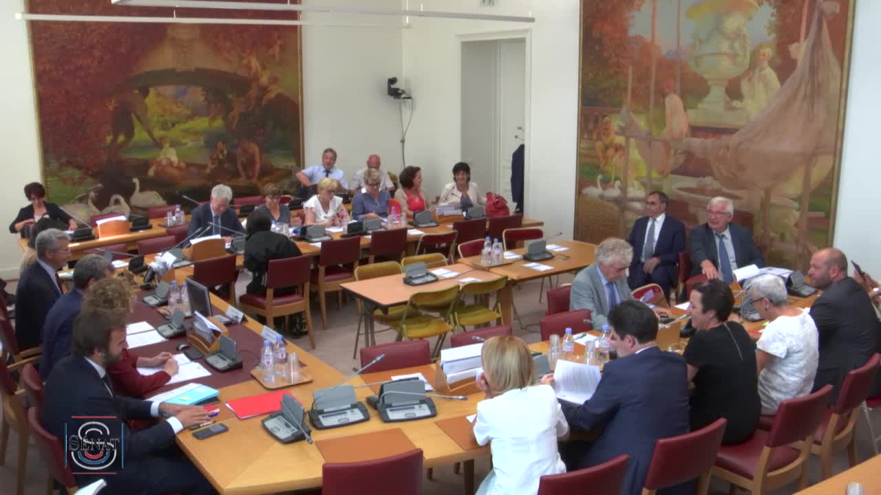 PJL Renforcement du dialogue social - Audition de Mme Muriel Pénicaud, ministre