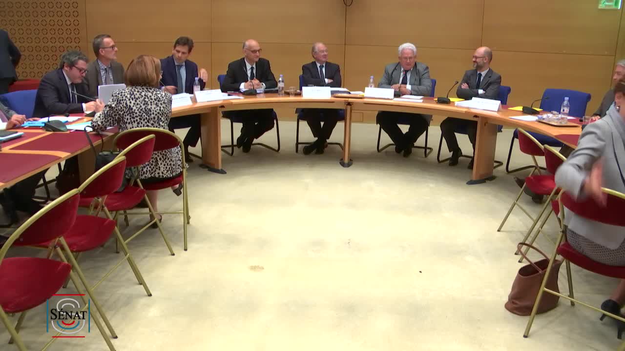 Audition sur la gouvernance et l'approfondissement de la zone euro