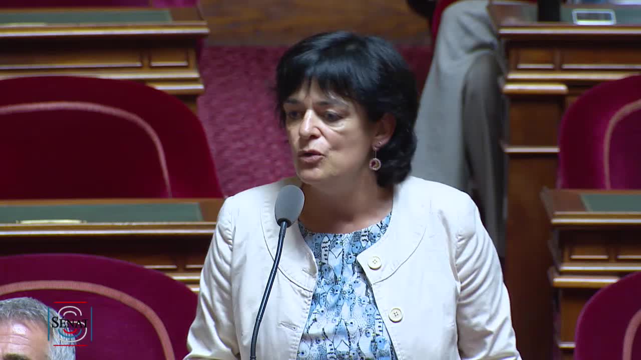 Séance publique du 20 juillet 2017 (après-midi)