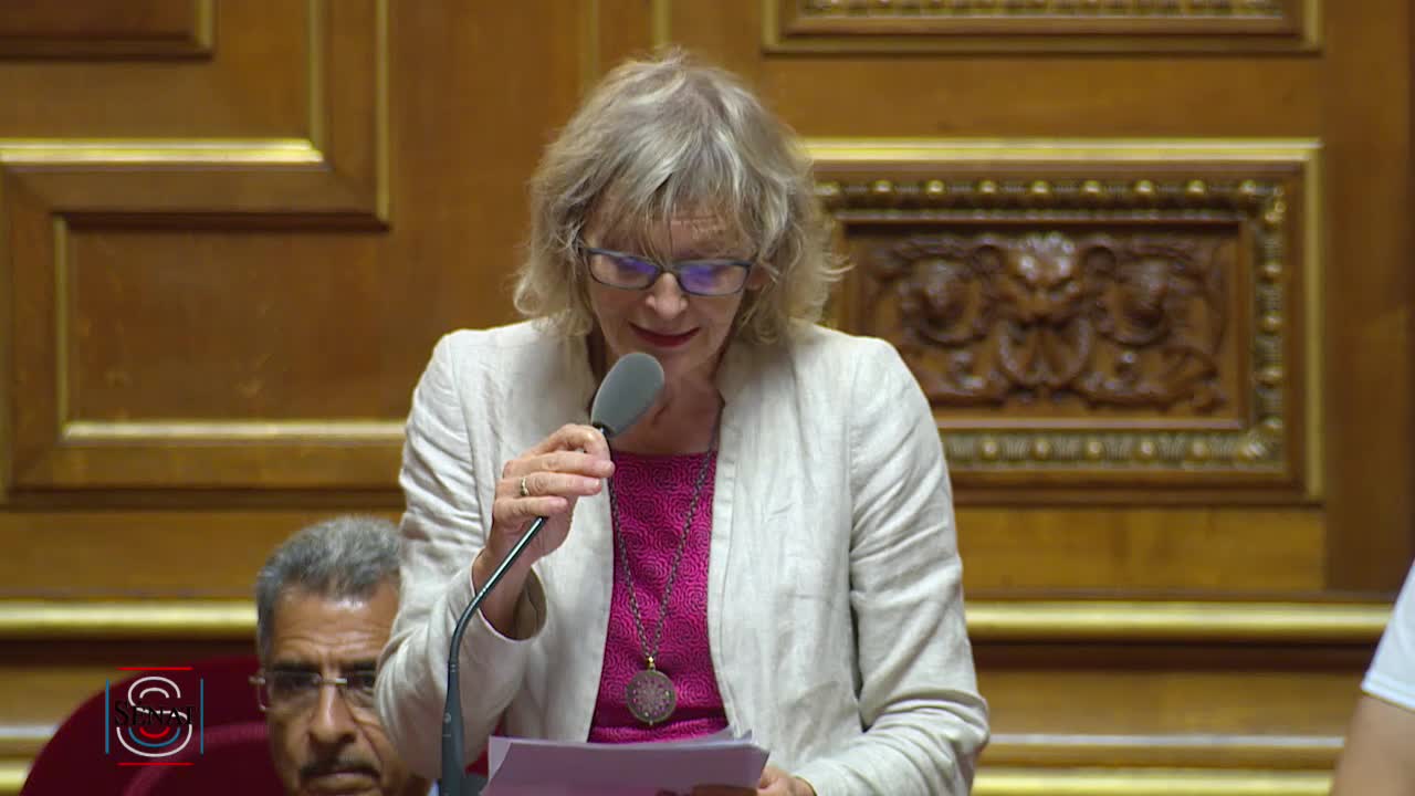 Séance publique du 20 juillet 2017 (après-midi)