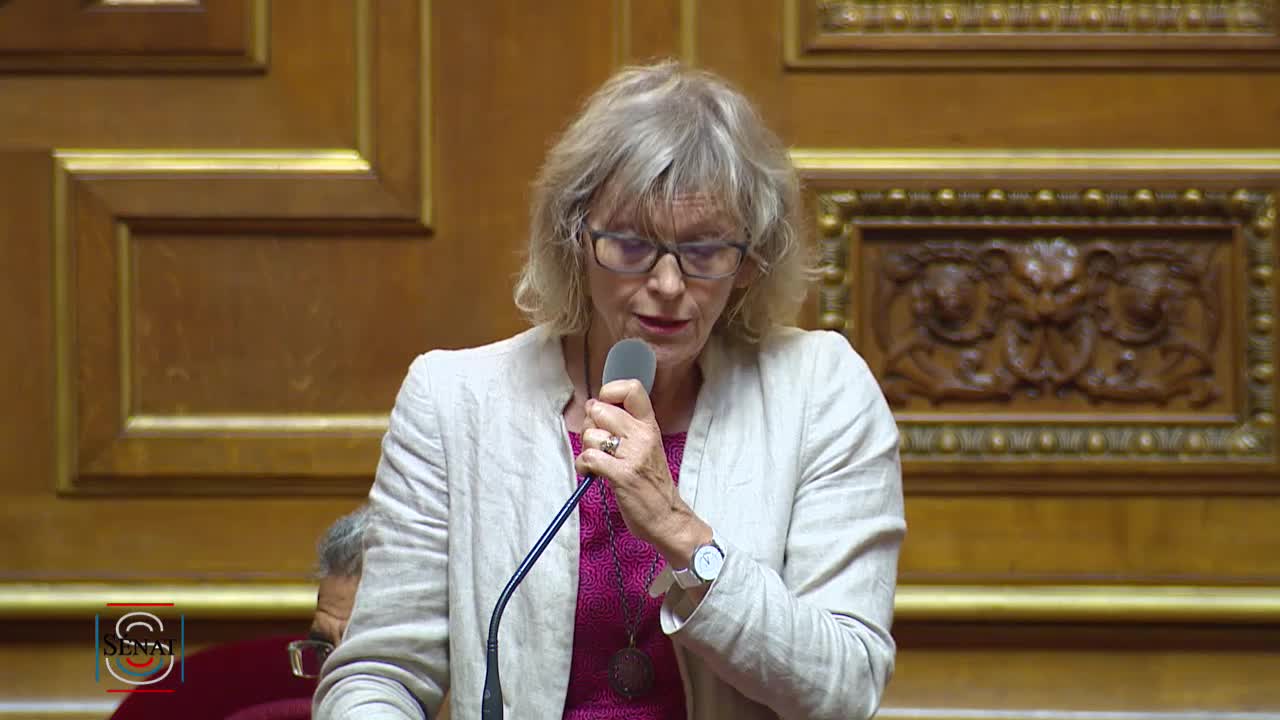 Séance publique du 20 juillet 2017 (après-midi)