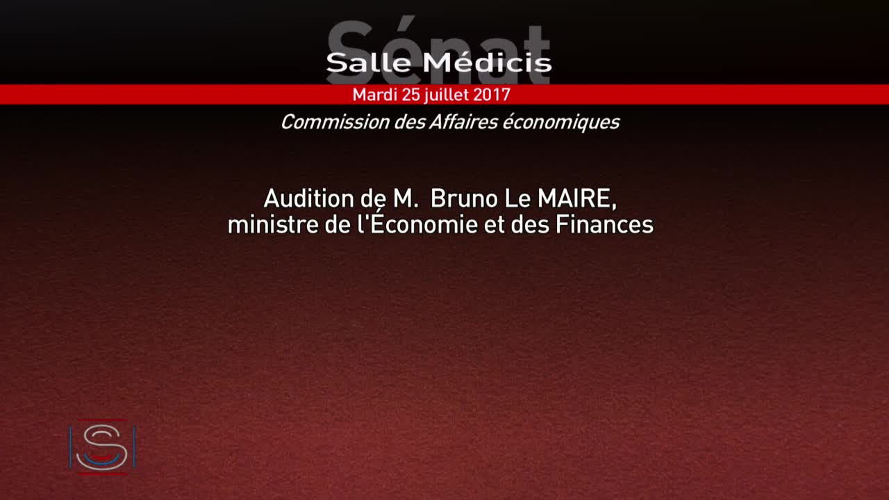 Audition de M. Bruno Le Maire, ministre