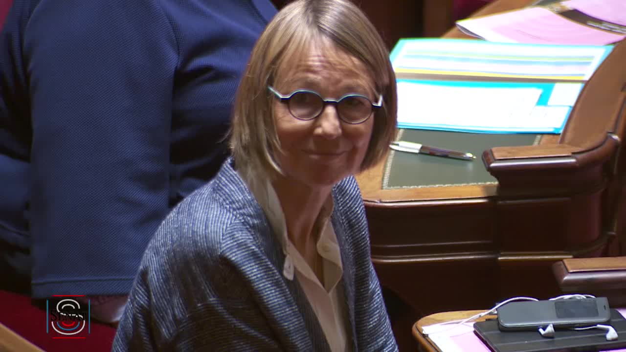 Séance publique du 25 juillet 2017 (matin)
