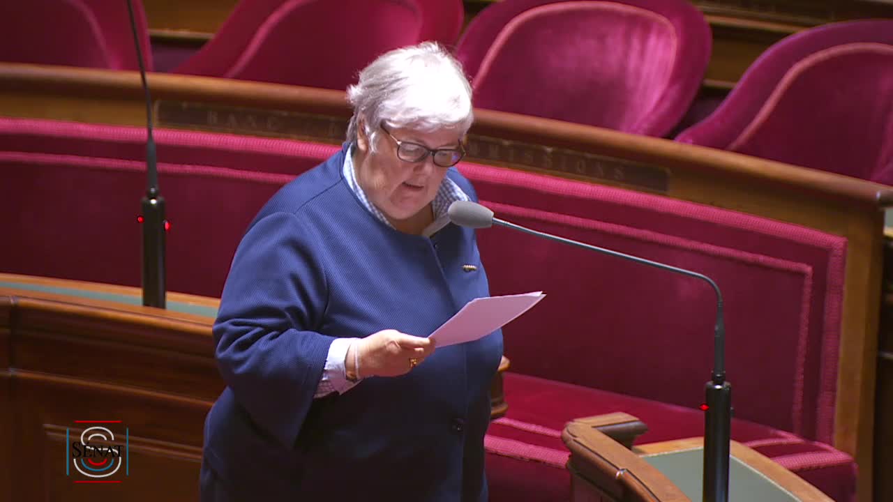 Séance publique du 25 juillet 2017 (matin)