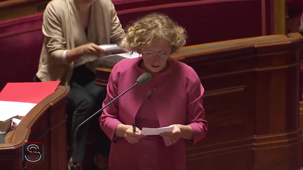 Séance publique du 25 juillet 2017 (soir)