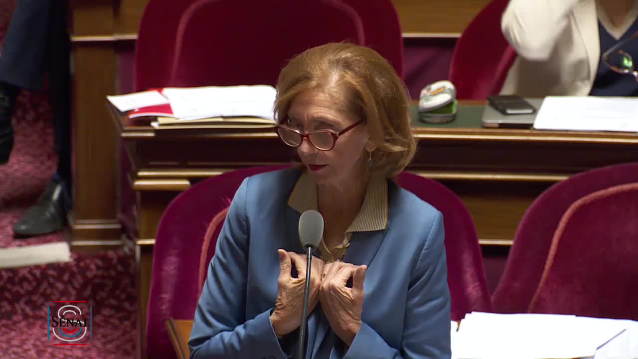 Séance publique du 25 juillet 2017 (soir)