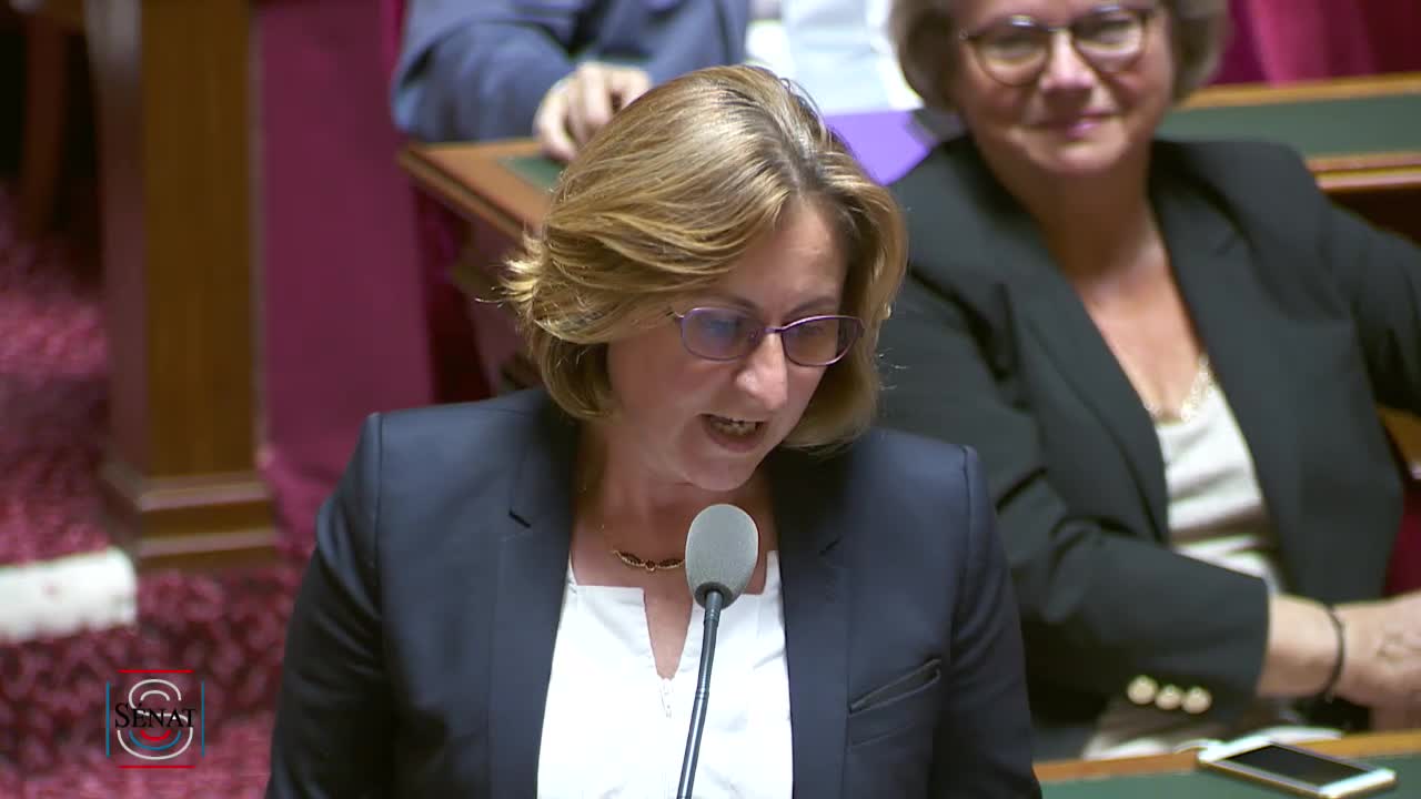 Séance publique du 1 août 2017 (après-midi)