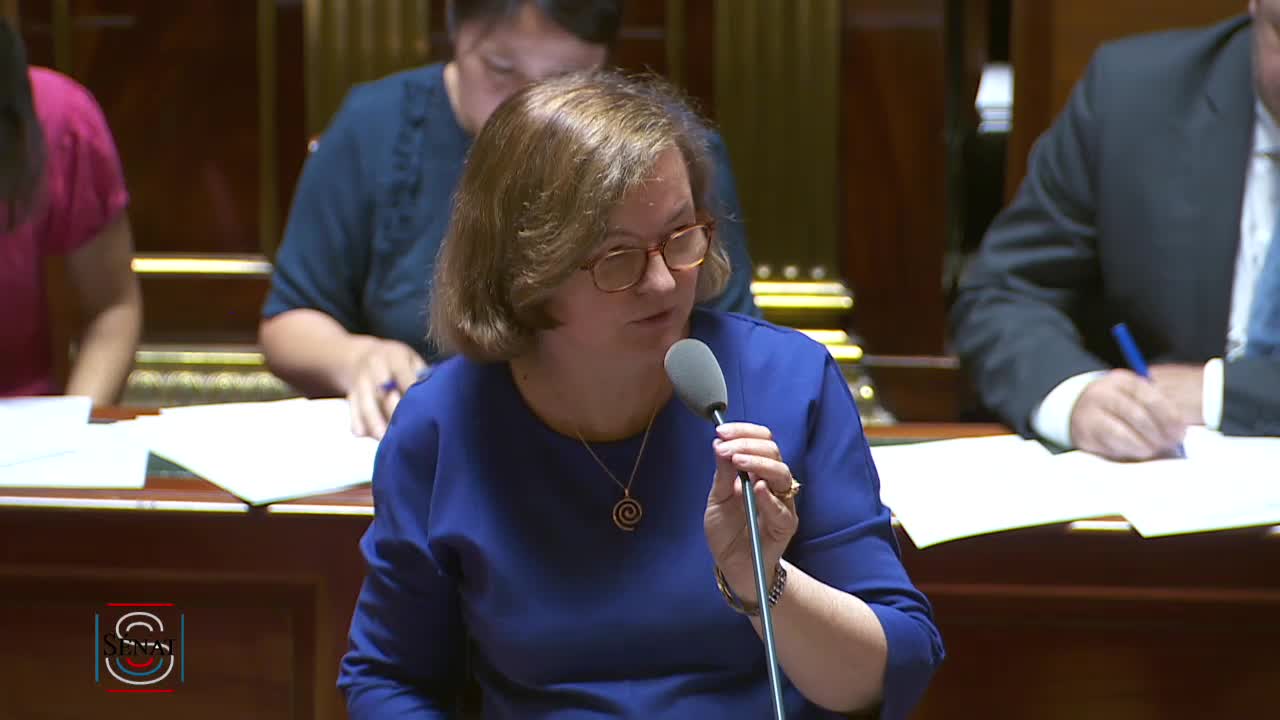 Séance publique du 1 août 2017 (après-midi)