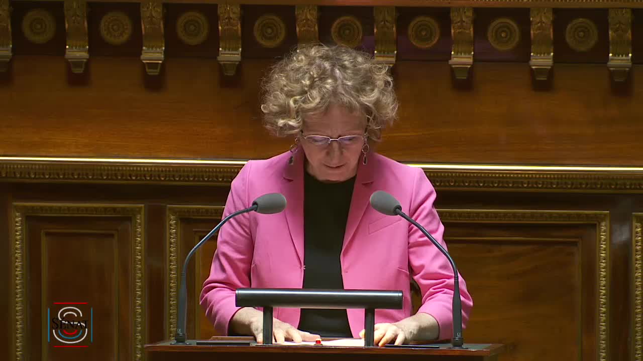 Séance publique du 2 août 2017 (après-midi)