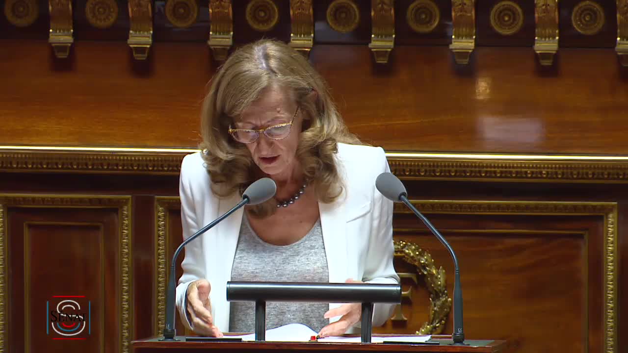 Séance publique du 4 août 2017 (après-midi)