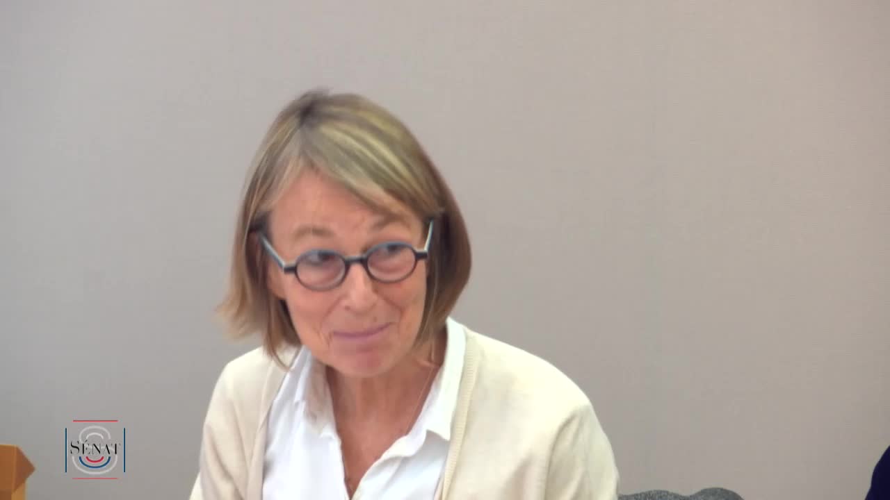 PLF 2018 - Audition de Mme Françoise Nyssen, ministre
