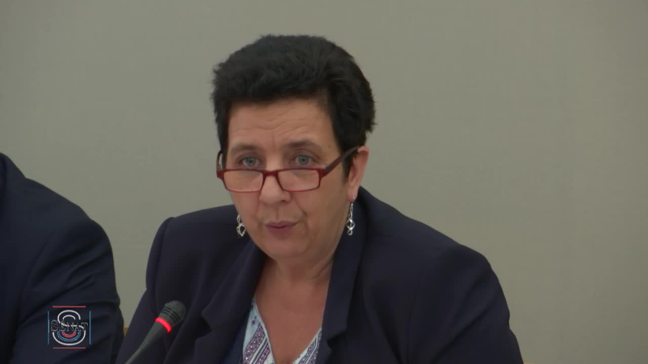 PLF 2018 - Audition Mme Frédérique Vidal, ministre