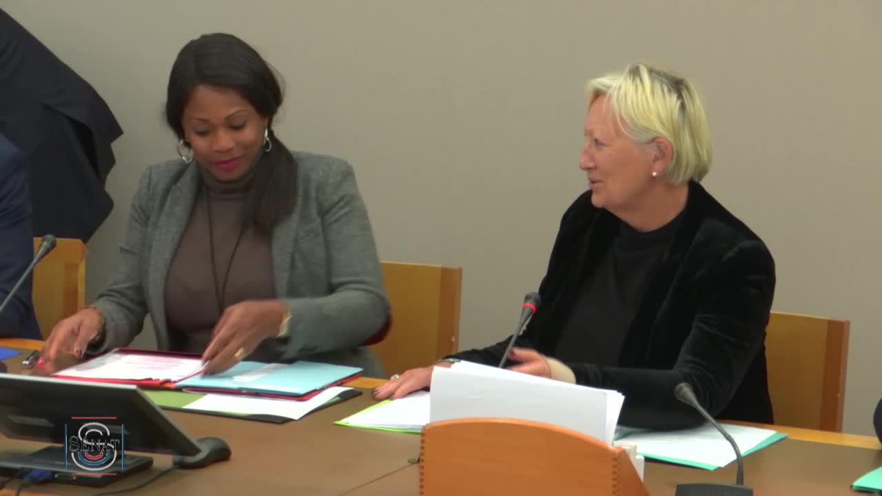 PLF 2018 - Audition Mme Laura Flessel, ministre